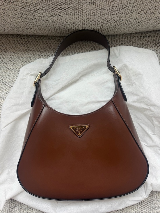 Prada Handbags - Prada Brown Leather Shoulder Hobo with Gold Hardware